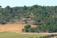 mondejar3