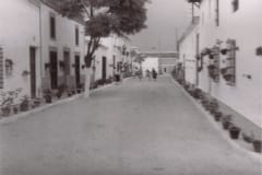 mayor2