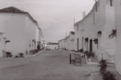 cantarranas01