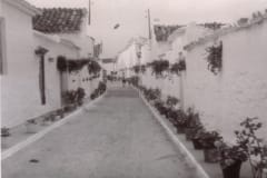 cantarranas02