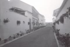 isabelcatolica03