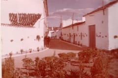 molino2