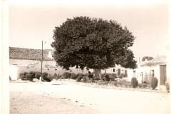 rambla3