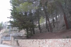 el picazo04