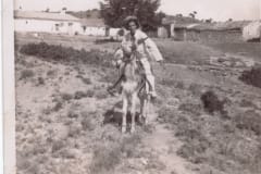 agricultura01