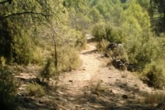 CaminoNoguera4