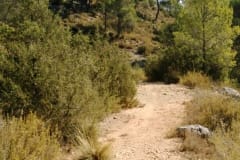 CaminoNoguera7